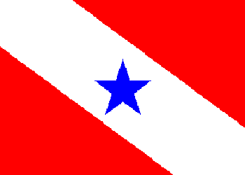 Bandeira do Pará